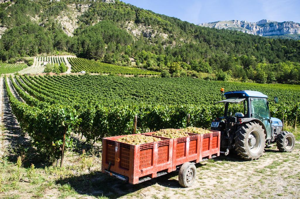 La Sauvaniere Menée Εξωτερικό φωτογραφία