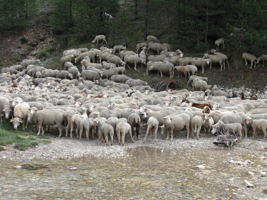La Sauvaniere Menée Εξωτερικό φωτογραφία